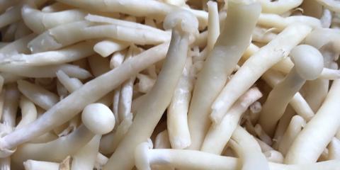 高榕海鲜菇怎么做好吃 海鲜菇怎么做