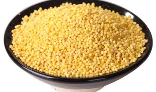 黄金小黄米和小米有区别吗 糜子和小米的区别